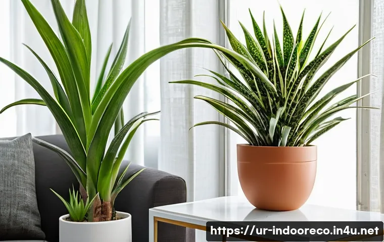 실내 미세먼지 관리법 관련 이미지 1