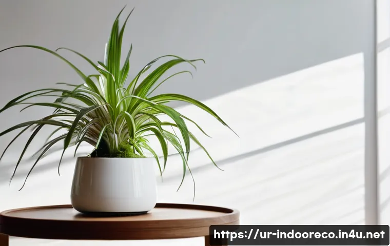 습도와 실내 공기 질의 상관 관계 - **Prompt:** A cozy, warm living room during winter. A young woman, fully clothed in comfortable loun...